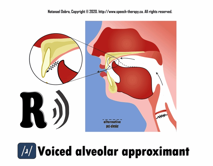 Voice stop. Voiced Dental and alveolar lateral Flaps pronounced. Voiced s.