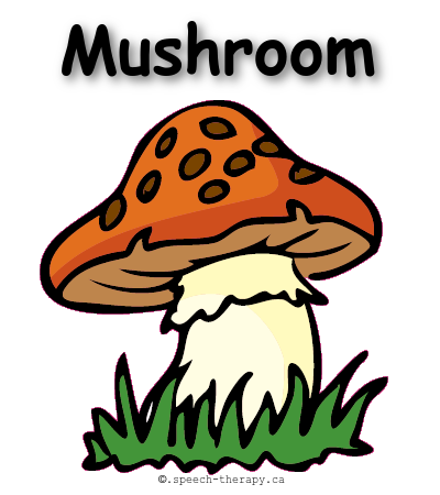 Mushrooms Flashcards. Mushroom Flashcard. Mushroom карточка на английском. Mushrooms Flashcard for Kids. Mushroom глагол