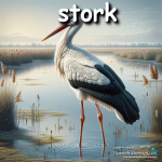 stork